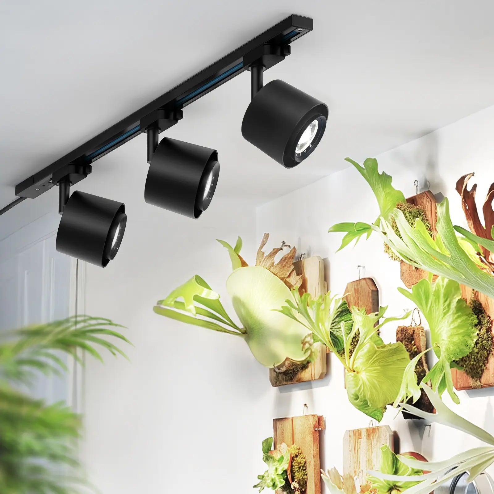 Barrina Tr40C Track Grow Light System for Indoor Plants, 3 X 40W Heads, 5000K Full Spectrum Ceiling Grow Spotlight with 15°-60° Adjustable Beam Angle for Greenhouse with Timer, Black H-Type Rail